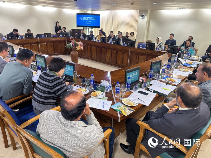 第一届中巴科教与产业合作研讨会现场。人民网记者赵益普摄