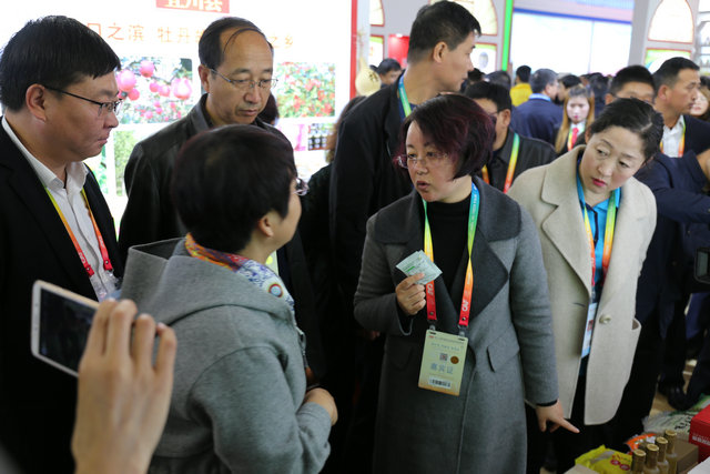 富县县委副书记、县长李彦侠来展位进行参观指导.JPG