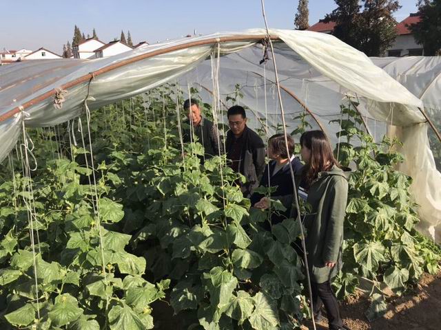 调整大小 蔬果2.jpg